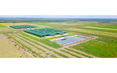 Vì sao Thaco Agri bị xử phạt?