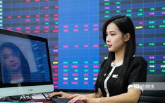 Các công ty chứng khoán top đầu đã hoàn thành bao nhiêu kế hoạch lợi nhuận sau 9 tháng?