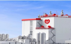 Sữa Quốc tế Lof lãi ròng hơn 224 tỷ đồng quý III/2026, đảo chiều sau quý lỗ cùng kỳ