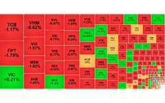 Chứng khoán ngày 26/10: VN-Index giảm 10 điểm
