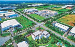 Tandoland bị xử phạt vì chậm công bố thông tin