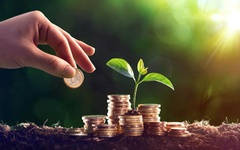 Điểm danh loạt doanh nghiệp chia cổ tức bằng tiền mặt ‘khủng’ trong năm 2025