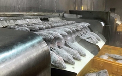 Kho báu dưới nước của Việt Nam 'hớp hồn' Mỹ, Brazil: thu về gần 100 triệu USD, một DN xuất khẩu có lợi nhuận tăng gấp 21 lần