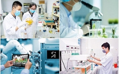 Miễn tiền thuê đất với dự án khoa học, công nghệ, đổi mới sáng tạo và chuyển đổi số