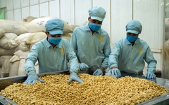 Nhập khẩu 65 nghìn tấn 'hạt vàng' - quốc gia này giúp Việt Nam 'bỏ túi' hơn 430 triệu USD ngay đầu năm mới Bính Ngọ