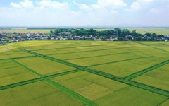 Quy định tính tiền sử dụng đất đối với hộ gia đình, cá nhân khi chuyển từ đất nông nghiệp sang đất ở năm 2026