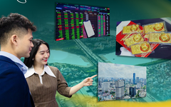 [E] Năm Ngọ bỏ tiền vào đâu khi dòng tiền tìm kiếm giá trị bền vững?