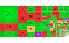 Chứng khoán ngày 24/2: Khối ngoại 'xả' mạnh FPT, VN-Index tiếp đà tăng