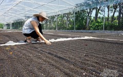 Việt Nam đón thêm tin vui từ Mỹ