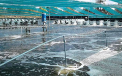 Việt Nam vừa đón tin cực vui từ Mỹ và Trung Quốc