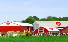 Sữa Quốc tế Lof chốt ngày tham dự ĐHĐCĐ thường niên năm 2026