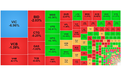 Chứng khoán ngày 4/2: VN-Index xuống dưới 1.800 điểm
