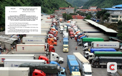 Chính thức: Tạm ngưng hiệu lực và điều chỉnh thời hạn áp dụng Nghị định số 46