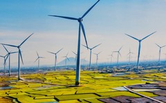 Trung Nam Đắk Lắk 1 mua lại hơn 200 tỷ đồng trái phiếu