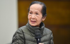 Chuyên gia kinh tế Phạm Chi Lan: Công nghệ đường sắt rất "nóng" và mới, Hòa Phát và Vinfast nên ngồi bàn với nhau xem ai làm gì, cho vừa sức, không gây lãng phí