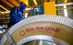 Hoa Sen Group muốn giảm sở hữu tại một công ty liên kết