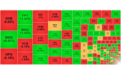 Chứng khoán ngày 9/2: 'Cổ đất' hút tiền, VN-Index 'đi ngang'