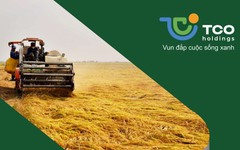 TCO Holdings muốn chuyển nhượng cổ phần tại công ty con