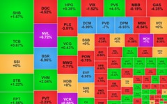 Chứng khoán ngày 16/3: Nhóm dầu khí bị bán mạnh, VN-Index giảm nhẹ
