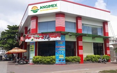 Vốn chủ sở hữu âm, Angimex không còn đáp ứng điều kiện công ty đại chúng