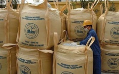 Phân lân Văn Điển bị nhắc nhở vì chậm giải trình ý kiến kiểm toán