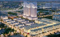 Haweicco bị xử phạt do không công bố thông tin