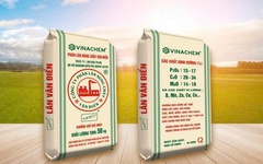 Cổ phiếu VAF của Phân lân Văn Điển đối diện nguy cơ hủy niêm yết bắt buộc