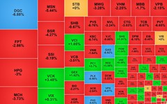 Chứng khoán ngày 20/3: DGC được 'bắt đáy', VN-Index giảm 51 điểm