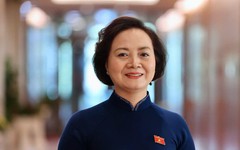 Phó Thủ tướng, Bộ trưởng và các Thứ trưởng trúng cử ĐBQH khóa XVI