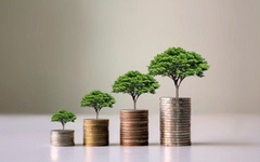 Loạt doanh nghiệp chốt quyền trả cổ tức trong tuần từ ngày 23/3-27/3