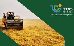 TCO Holdings muốn đầu tư vào Pacific Lines