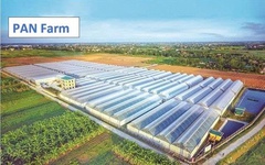 Pan Farm thanh toán gần 649 tỷ đồng gốc, lãi trái phiếu trong năm 2025