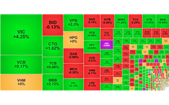 Chứng khoán ngày 31/3: Thanh khoản cầm chừng, VN-Index vẫn tăng 12 điểm