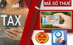 Nóng: Thuế TP Hà Nội có thông báo quan trọng về mã số thuế cá nhân