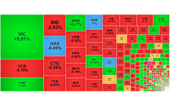 Chứng khoán ngày 5/3: Nhóm dầu khí bị 'chốt lời', VN-Index giảm gần 10 điểm