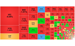 Chứng khoán ngày 6/3: VN-Index giảm về dưới 1.770 điểm