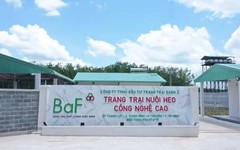 Nông nghiệp BAF hướng đến mức lợi nhuận kỷ lục, chia cổ tức và cổ phiếu thưởng tổng tỷ lệ 20%