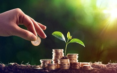 Điểm lại các doanh nghiệp lên kế hoạch trả cổ tức trên 100% mùa ĐHĐCĐ năm 2026