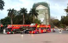 Từ du lịch đến bảo tồn biển: KDI Holdings tham gia các hoạt động vì phát triển bền vững tại Nha Trang