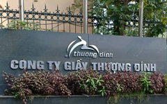 Vinaconex tính mua cổ phần của Giầy Thượng Đình
