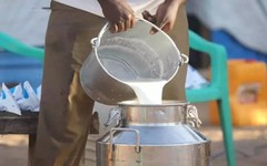 Đột kích một căn nhà lúc 1 giờ sáng, công an triệt phá đường dây sản xuất sữa giả từ hóa chất, tịch thu hàng nghìn lít dung dịch và máy trộn công nghiệp