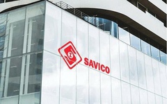 Vì sao Savico không đáp ứng điều kiện công ty đại chúng?