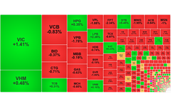 Chứng khoán ngày 21/4: VN-Index giảm nhẹ