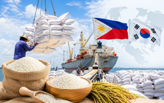 Tín hiệu cực vui cho 'hạt vàng' Việt Nam: Hai khách sộp đua 'vét hàng', hàng trăm tàu sẵn sàng vươn khơi