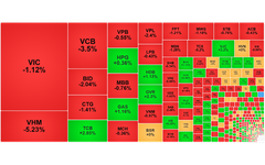 Chứng khoán ngày 24/4: VN-Index giảm 17 điểm