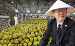 Loại quả của Việt Nam khiến Tổng thống Hàn Quốc ăn không ngừng, xuýt xoa khen ngon - Xuất khẩu sang xứ sở kim chi tăng khủng 300%