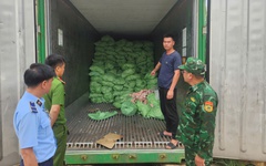 Kiểm tra bất ngờ một loạt tiểu thương: Tịch thu hàng nghìn tấn sản phẩm sai phạm, có người bị phạt 125 triệu đồng