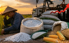 Căng thẳng Trung Đông: Phân bón trong nước tăng, nông sản lại giảm sâu - chuyện gì đang xảy ra?