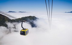 Cáp treo Fansipan Sa Pa báo lãi gần 29 tỷ đồng trong năm 2025