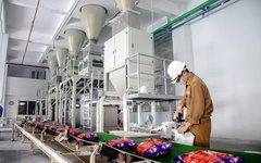 Cổ phiếu DGC của Hóa chất Đức Giang vào diện không được cấp margin